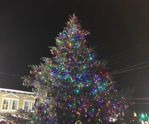 Town Christmas Tree lighting